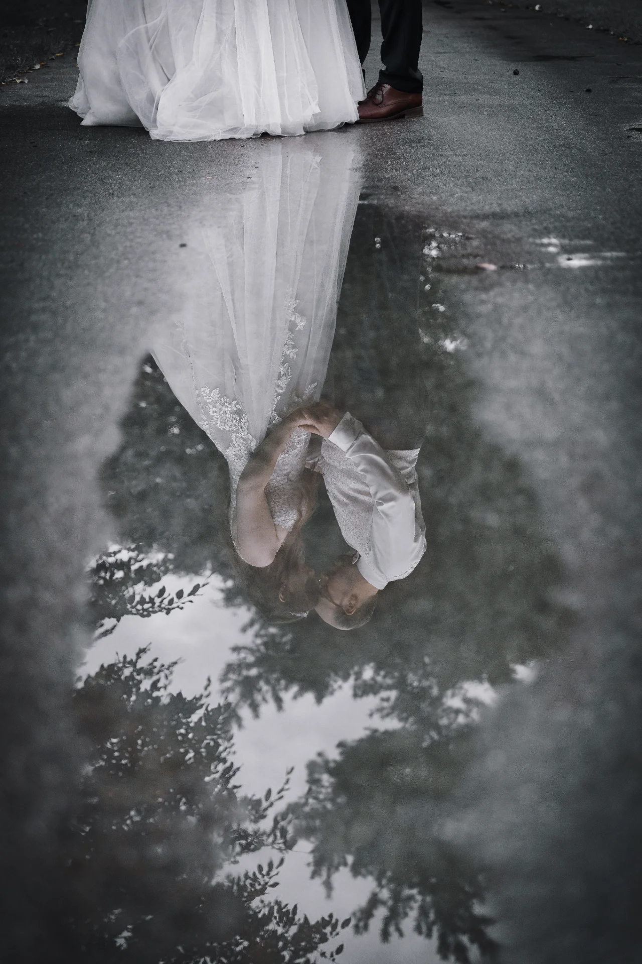 Steve Photography – JPEG Bild 139